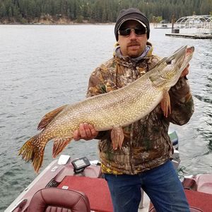 Meet your Posher, Jeremy